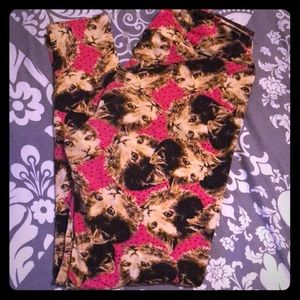 Lularoe TC cat head leggings. Hot pink